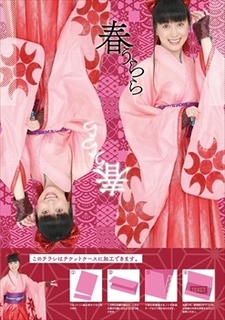 sakura2024_2_R.JPG